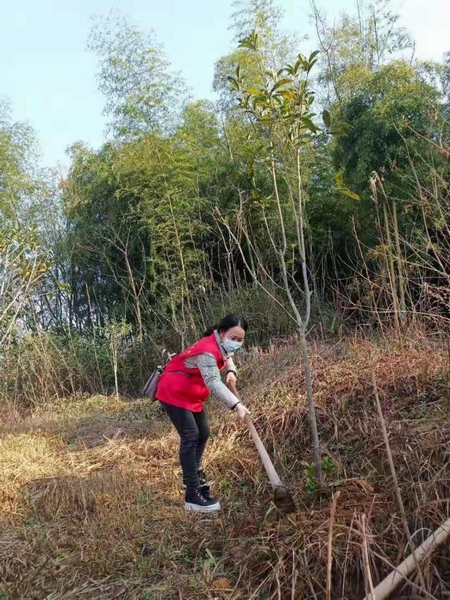 “志愿红”与“绿水青山”的一场约定