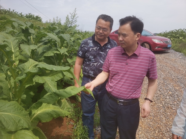 市档案馆深入联系点督导调研乡村振兴工作