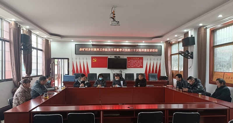 邵阳市档案馆入村宣讲党的二十大精神