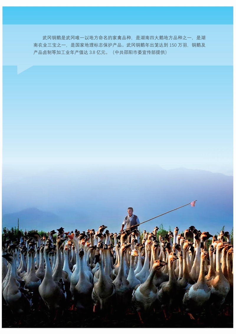 迎接党的二十大胜利召开——邵阳建设图文展
