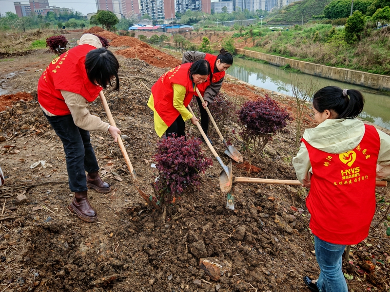 共赴“绿色之约”——市档案馆开展义务植树活动