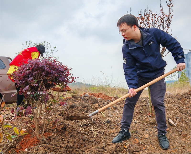 共赴“绿色之约”——市档案馆开展义务植树活动