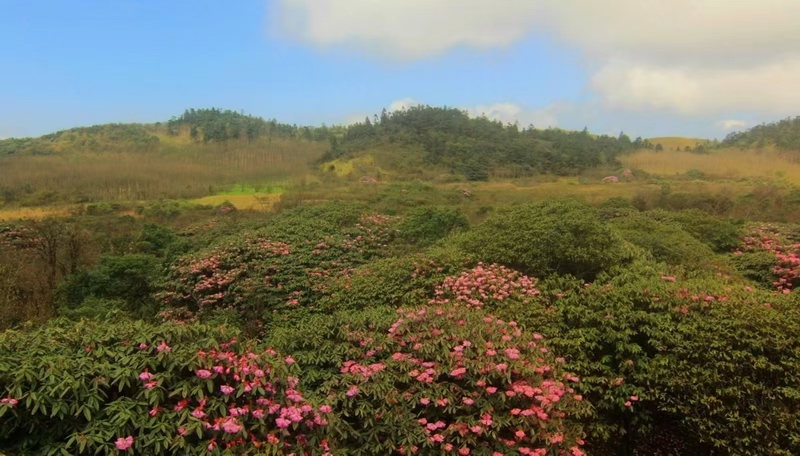 穿越荒野：23年前的十万古田考察记