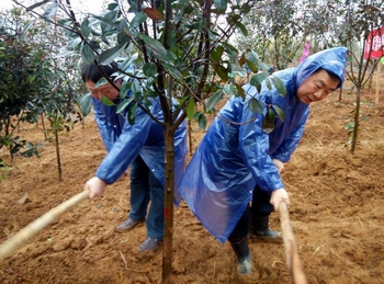 龚超群局长带队参加植树活动
