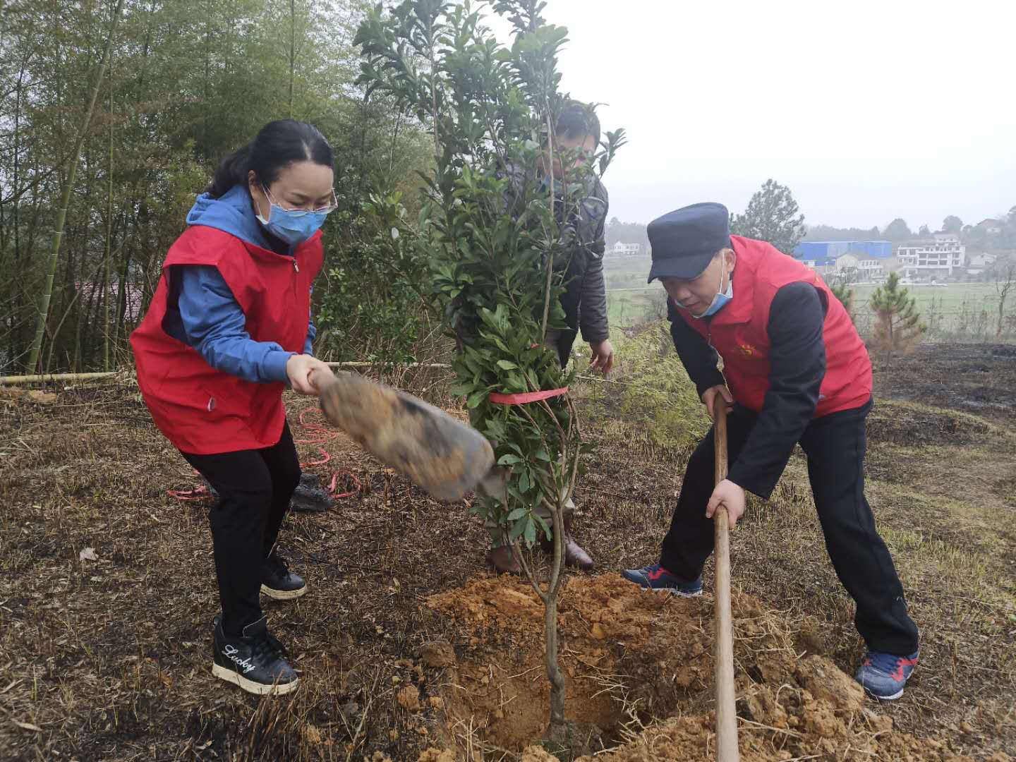 市档案馆开展创建“国家森林城市”义务植树活动